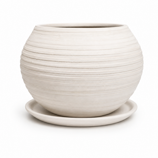 Esfera Mini Peinada Blanca con Plato #3 T34 X4