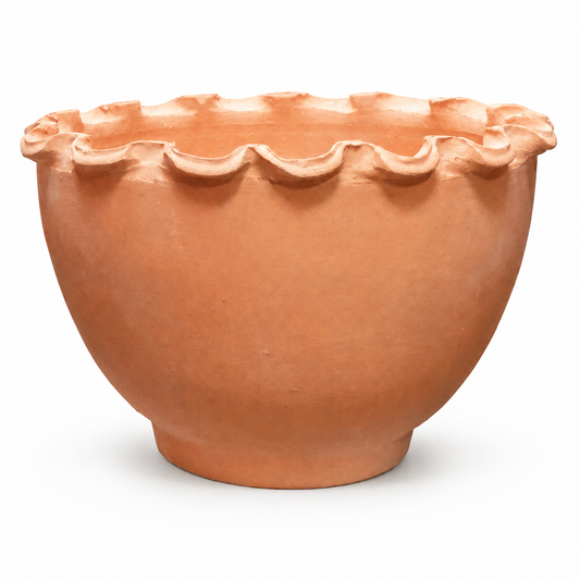 Violetera Natural #7 T10