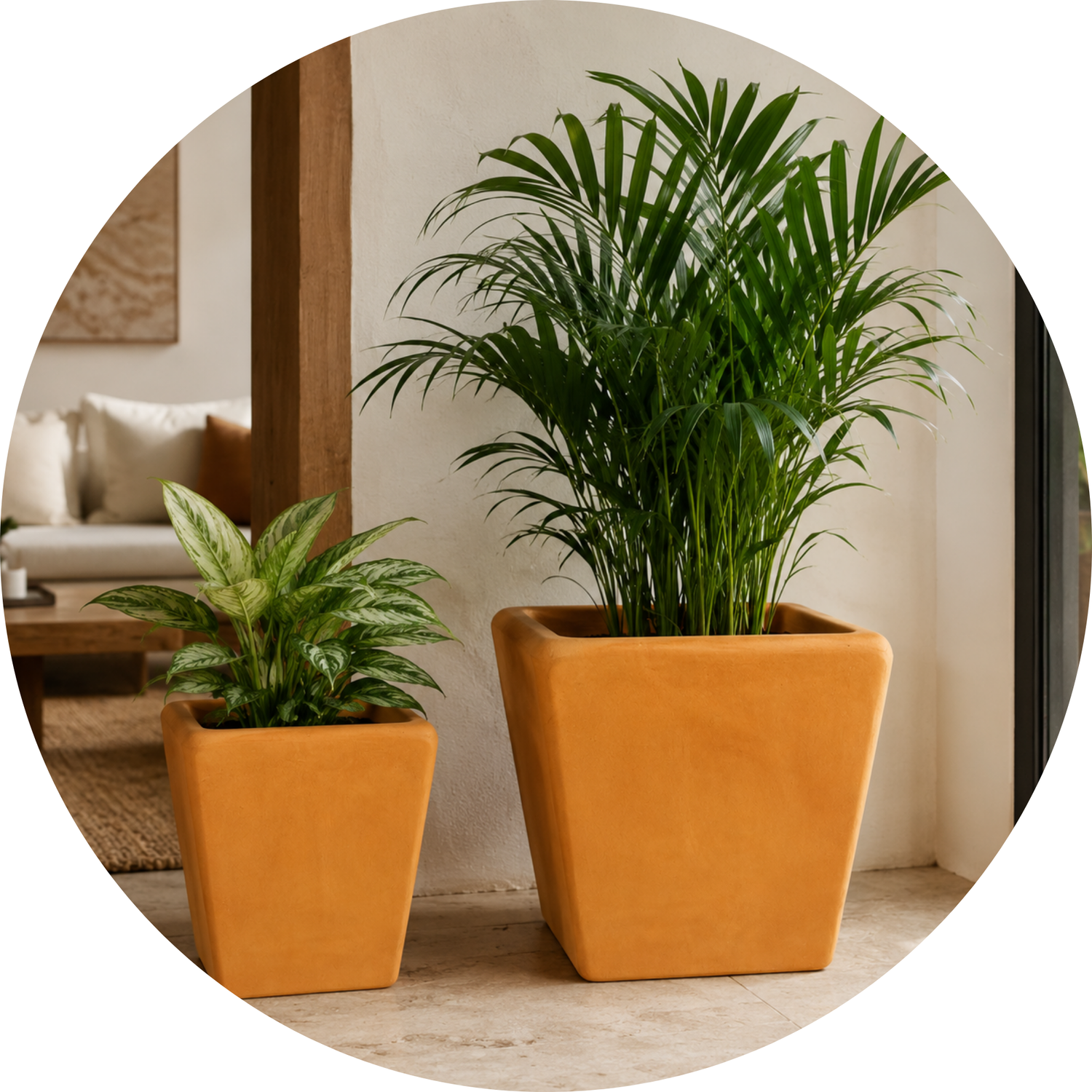 Columnas