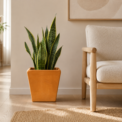 Columna Apartamentera Pulida #1 R86
