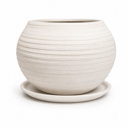 Esfera Mini Peinada Blanca con Plato #1 T34 SET x4