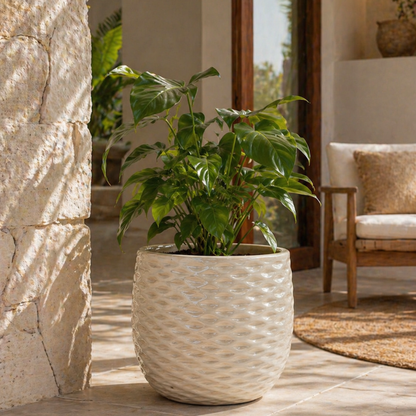 Matera Piña Esmaltada Grande R00